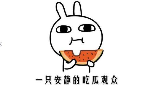 热门大瓜每日必吃大瓜合集 52吃瓜爆料免费吃瓜视频 抖音爆料吃瓜观看在线,52期吃瓜爆料，免费视频在线观看